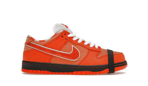 Nike Dunk Low Orange Lobster