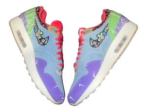 Nike Air Max 1 SP Concepts Far Out