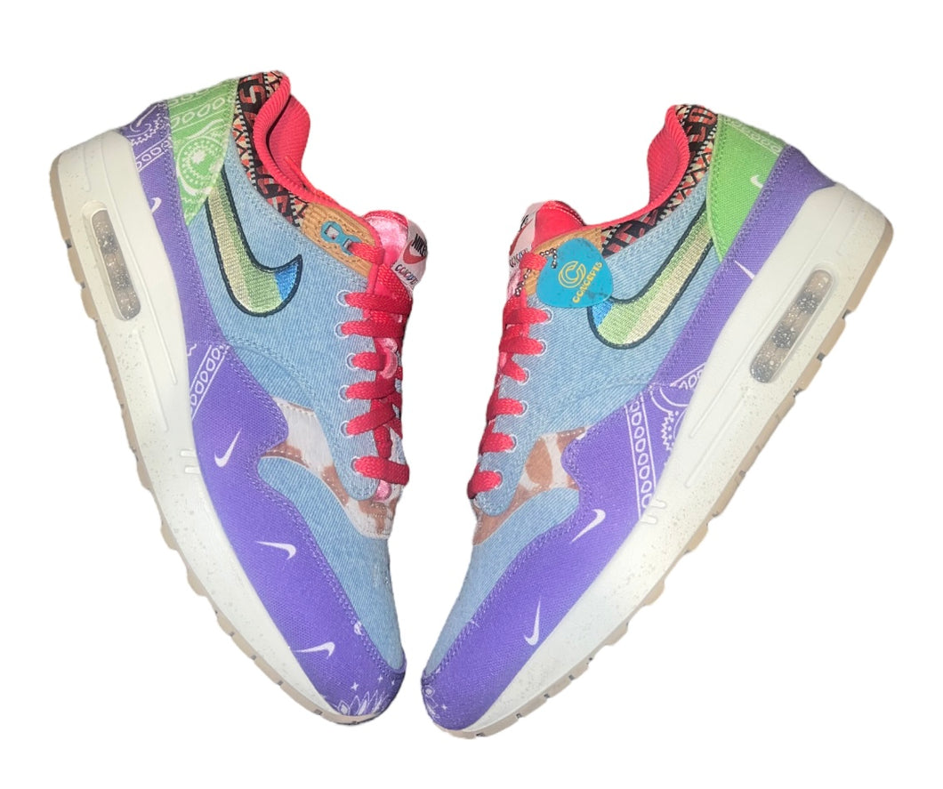 Nike Air Max 1 SP Concepts Far Out